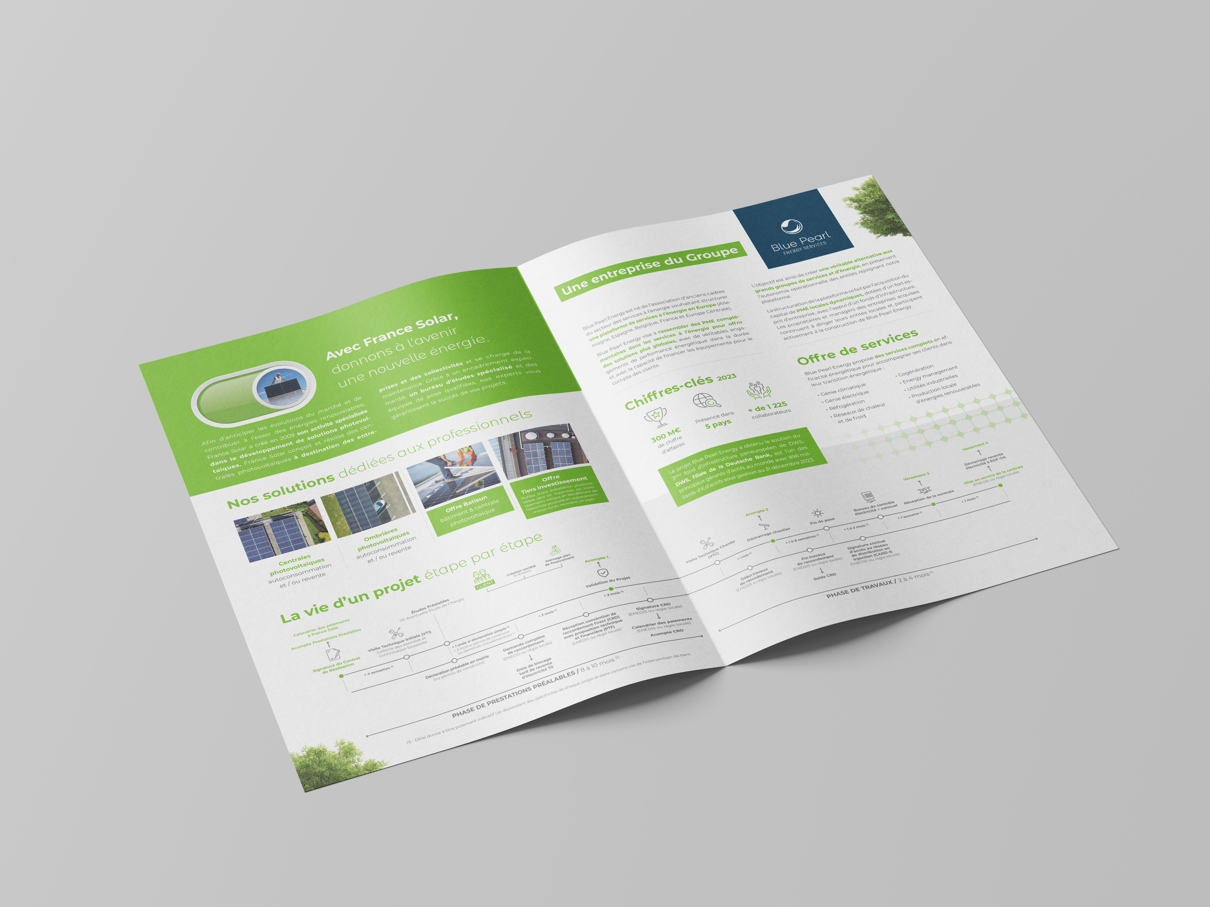 garden full of hedges and flowers